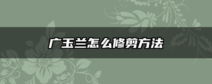 广玉兰怎么修剪方法