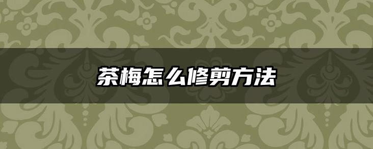 茶梅怎么修剪方法