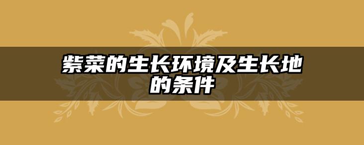 紫菜的生长环境及生长地的条件