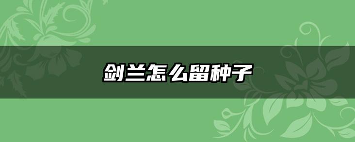剑兰怎么留种子