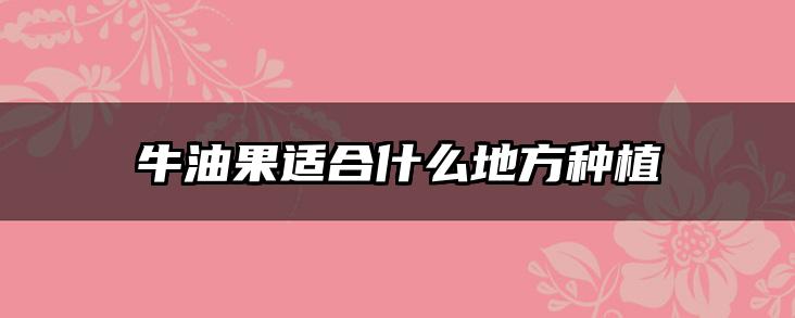 牛油果适合什么地方种植
