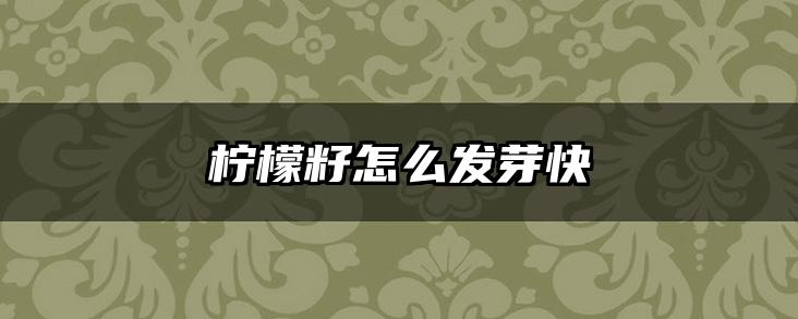 柠檬籽怎么发芽快