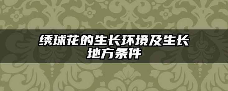 绣球花的生长环境及生长地方条件