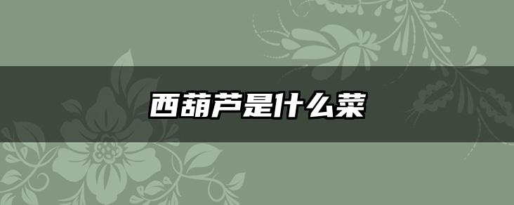 西葫芦是什么菜