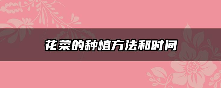 花菜的种植方法和时间