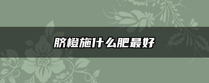 脐橙施什么肥最好