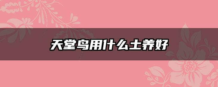 天堂鸟用什么土养好