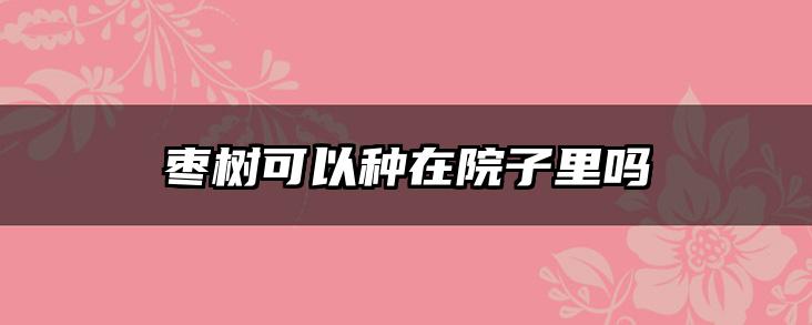 枣树可以种在院子里吗