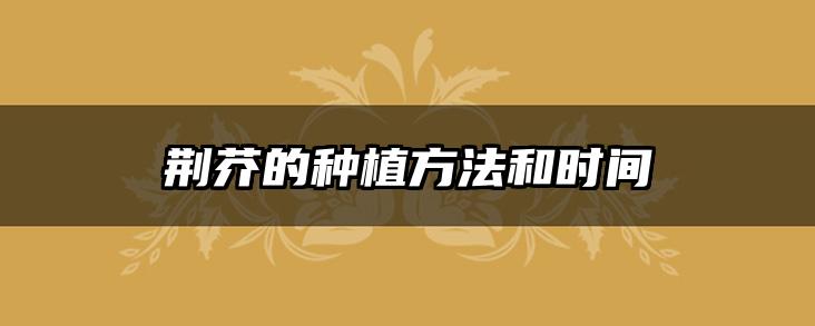 荆芥的种植方法和时间