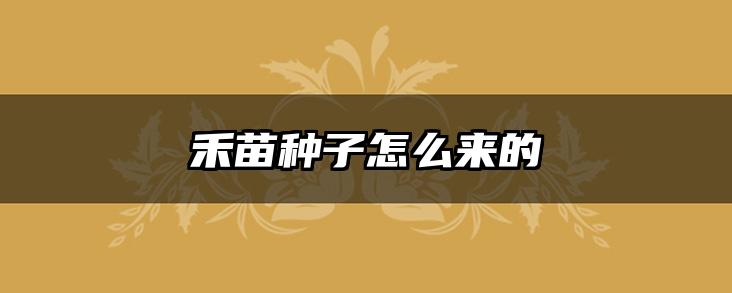 禾苗种子怎么来的