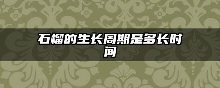石榴的生长周期是多长时间
