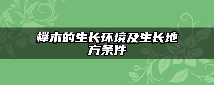 榉木的生长环境及生长地方条件