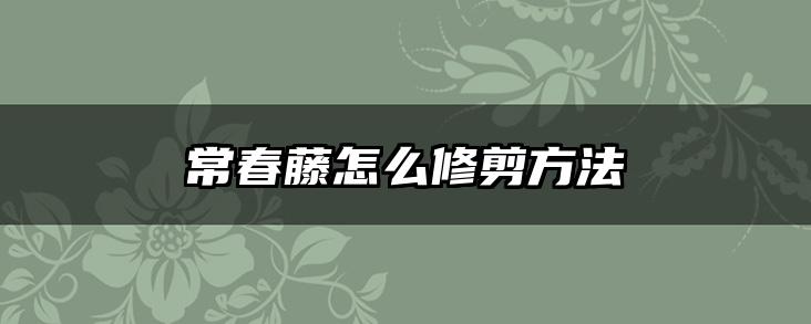常春藤怎么修剪方法