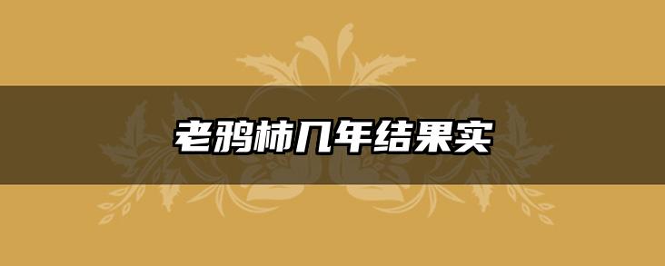 老鸦柿几年结果实