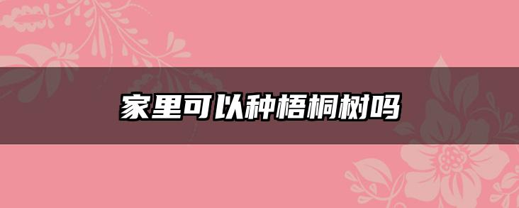 家里可以种梧桐树吗