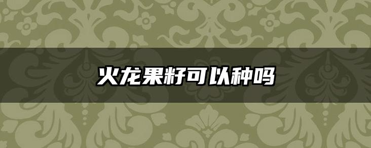 火龙果籽可以种吗