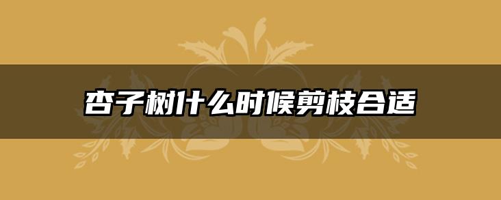 杏子树什么时候剪枝合适