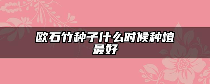 欧石竹种子什么时候种植最好
