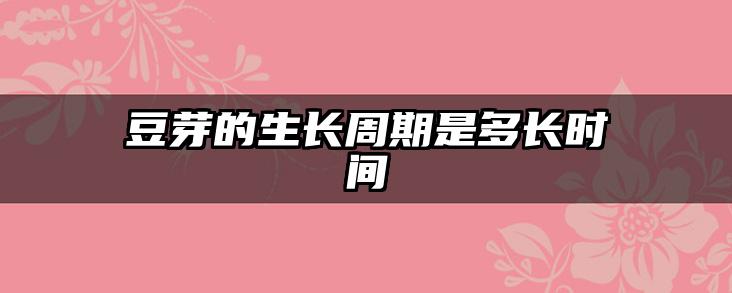豆芽的生长周期是多长时间