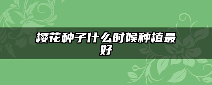 樱花种子什么时候种植最好
