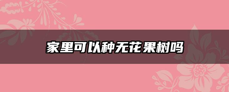 家里可以种无花果树吗