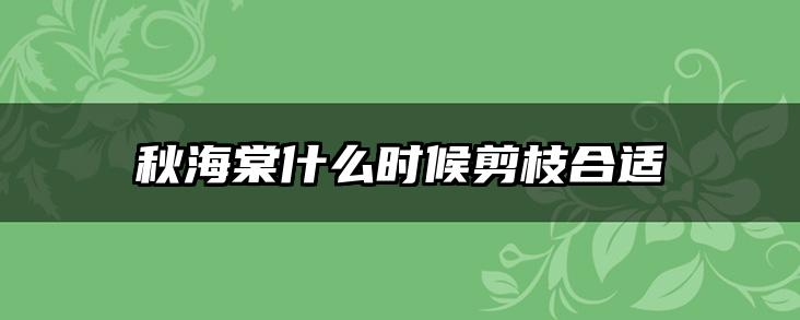 秋海棠什么时候剪枝合适