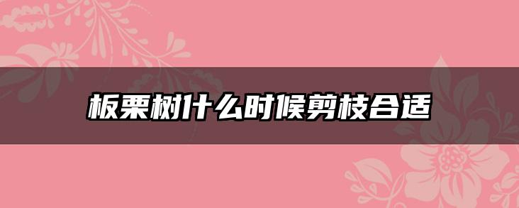 板栗树什么时候剪枝合适