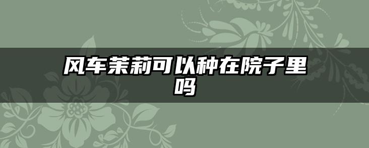 风车茉莉可以种在院子里吗
