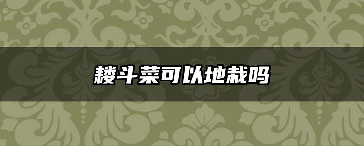 耧斗菜可以地栽吗