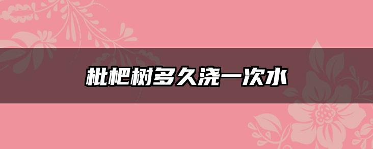 枇杷树多久浇一次水