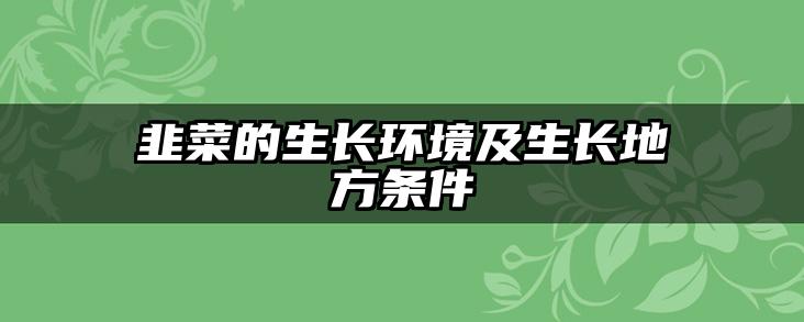 韭菜的生长环境及生长地方条件