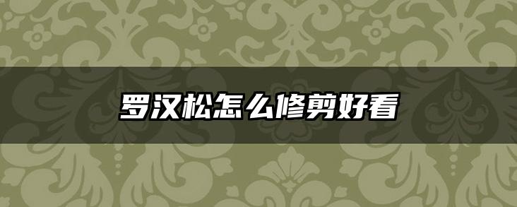 罗汉松怎么修剪好看