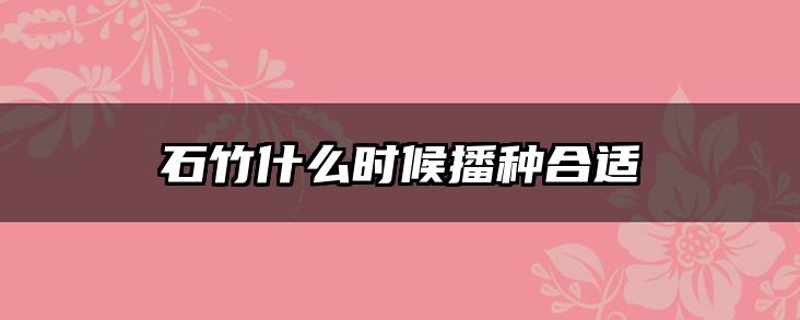 石竹什么时候播种合适