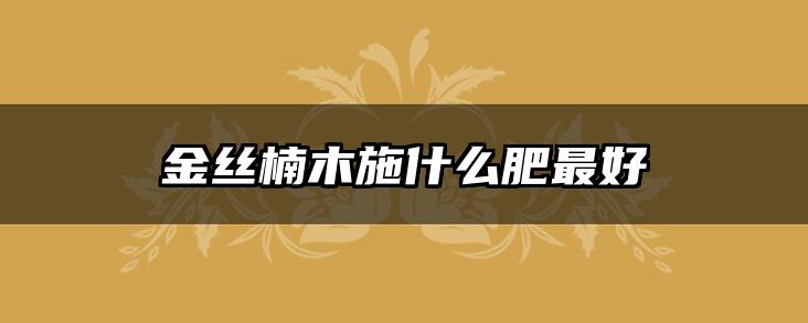 金丝楠木施什么肥最好