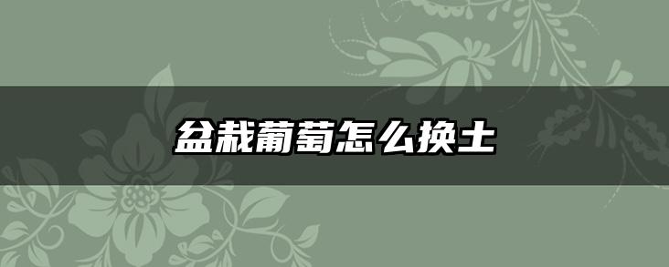 盆栽葡萄怎么换土