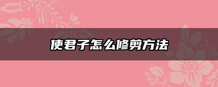 使君子怎么修剪方法