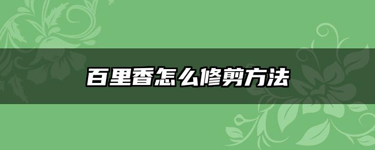 百里香怎么修剪方法