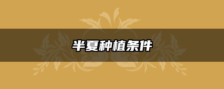 半夏种植条件