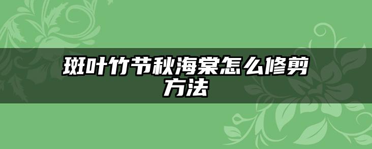 斑叶竹节秋海棠怎么修剪方法
