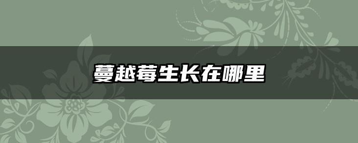 蔓越莓生长在哪里