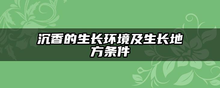 沉香的生长环境及生长地方条件
