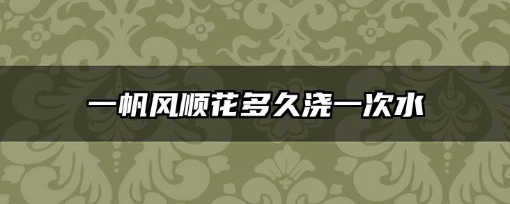 一帆风顺花多久浇一次水