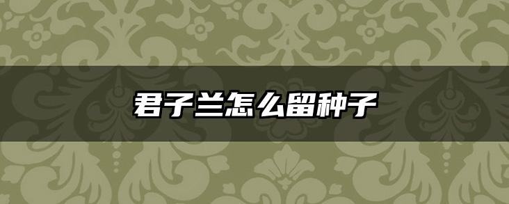 君子兰怎么留种子