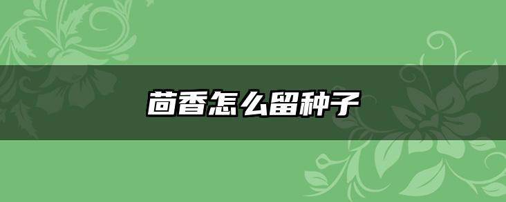 茴香怎么留种子
