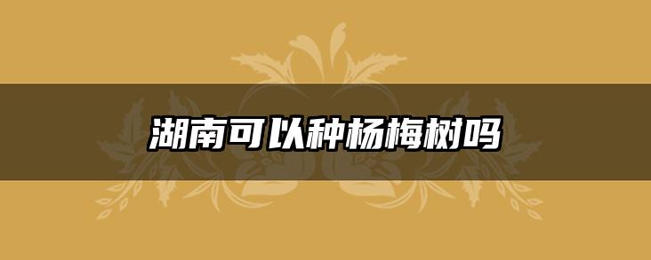 湖南可以种杨梅树吗