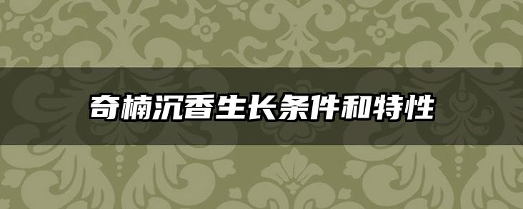 奇楠沉香生长条件和特性