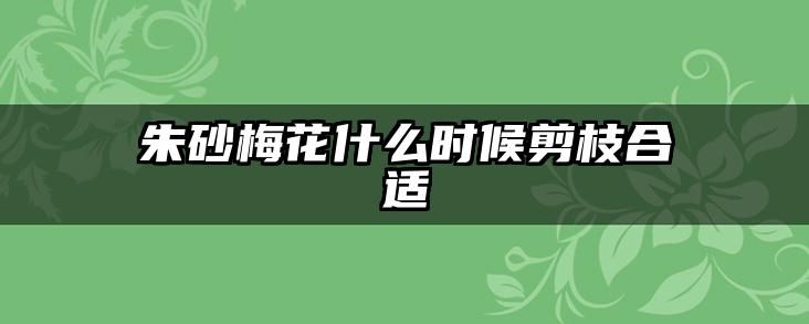 朱砂梅花什么时候剪枝合适