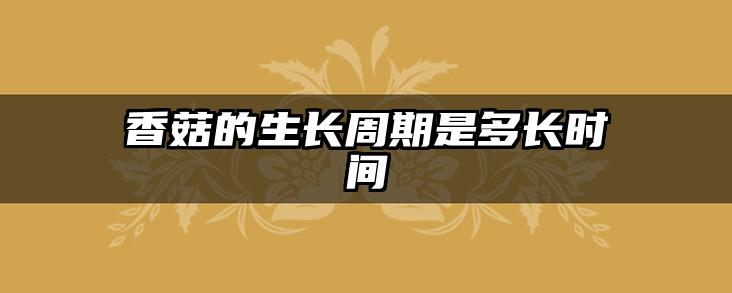 香菇的生长周期是多长时间