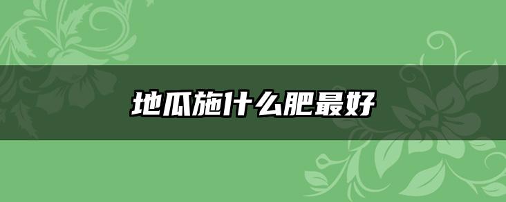 地瓜施什么肥最好
