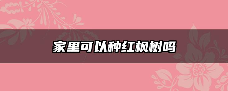家里可以种红枫树吗